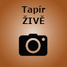 kamera tapir